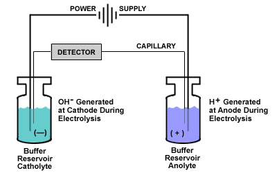Buffer Depletion