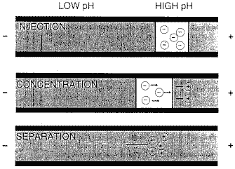 STACKING AND TRACE ENRICHMENT INJECTION TECHNIQUES