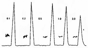 Detector Time Constants