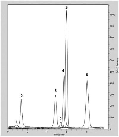 Olive Leaves Chromatogram