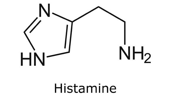Histamine chemical structure