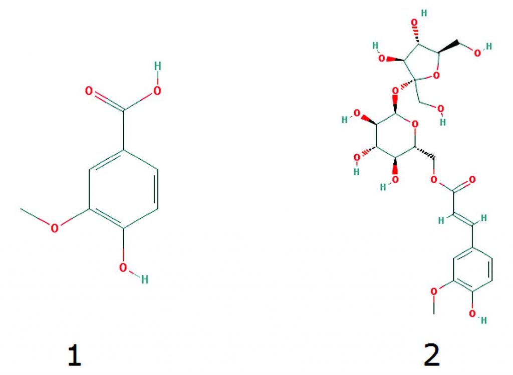 Vanillic Acid and 6'-O-Feruloylsucrose Chemical Structures