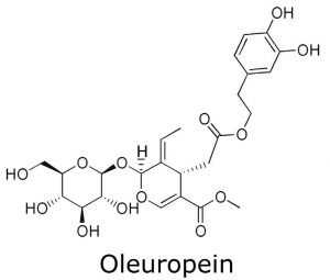 Oleuropein in Olive Leaves Structure