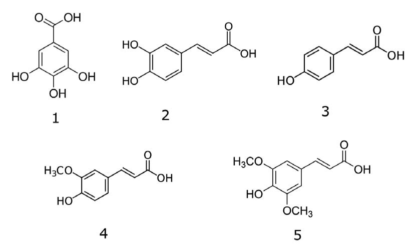 Rice Extract Chemical Structures