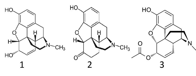 Morphine, Hydromorphone 6-MAM Chemical Structures
