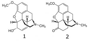 Codeine Hydrocodone Chemical Structures